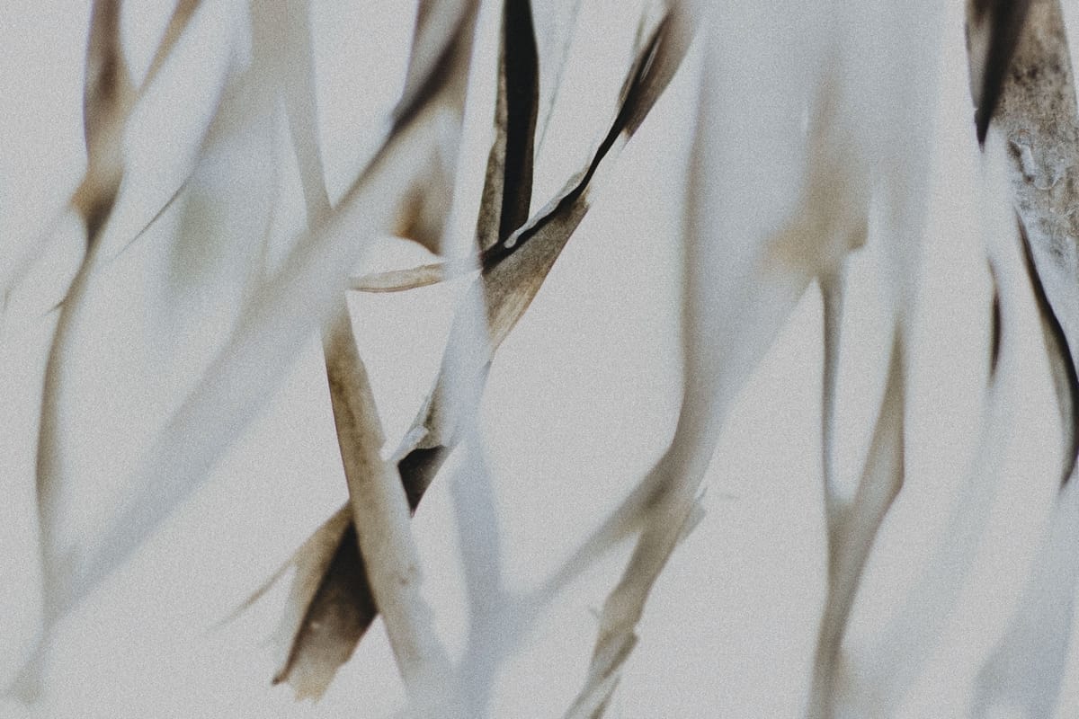 An abstract close-up suggesting neural pathways.