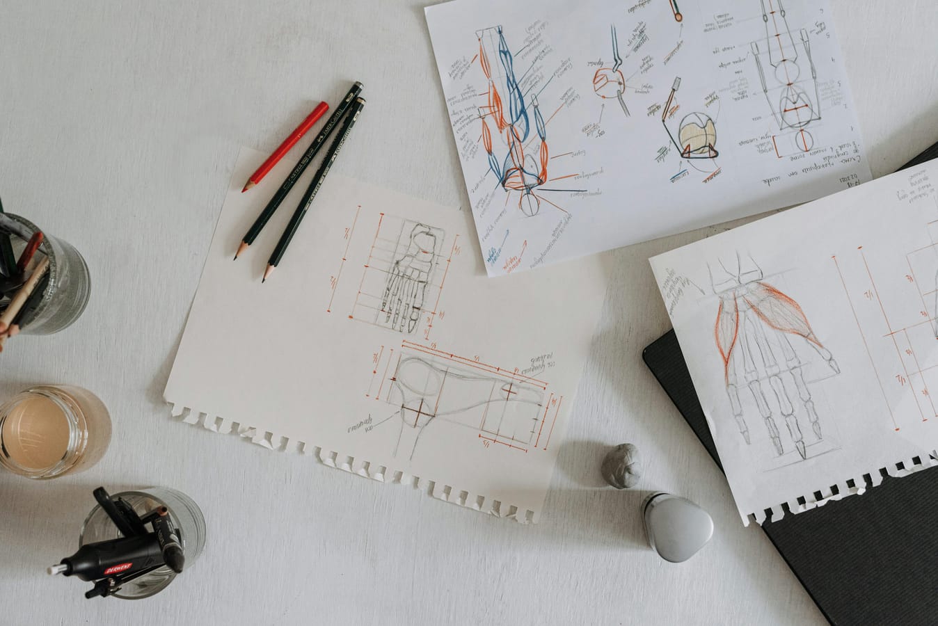 A simple anatomical illustration of a torso on a paper desk with a glass nearby, in soft natural light.