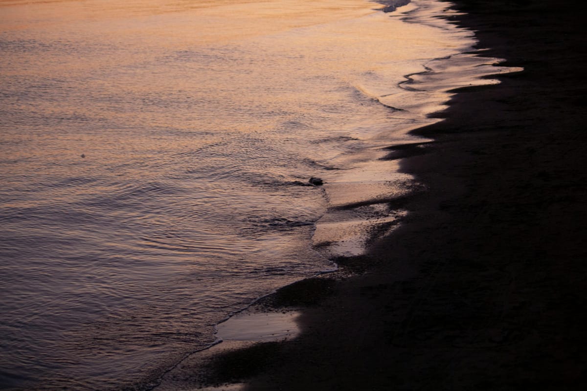 A view of calm waves on a shore at gentle light.