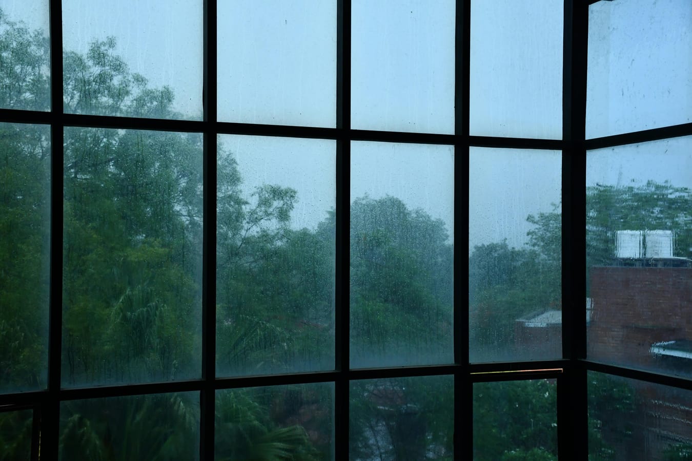 Rain falling on a window with a soft view of trees in the background, suggesting the RAIN acronym and a contemplative atmosphere.