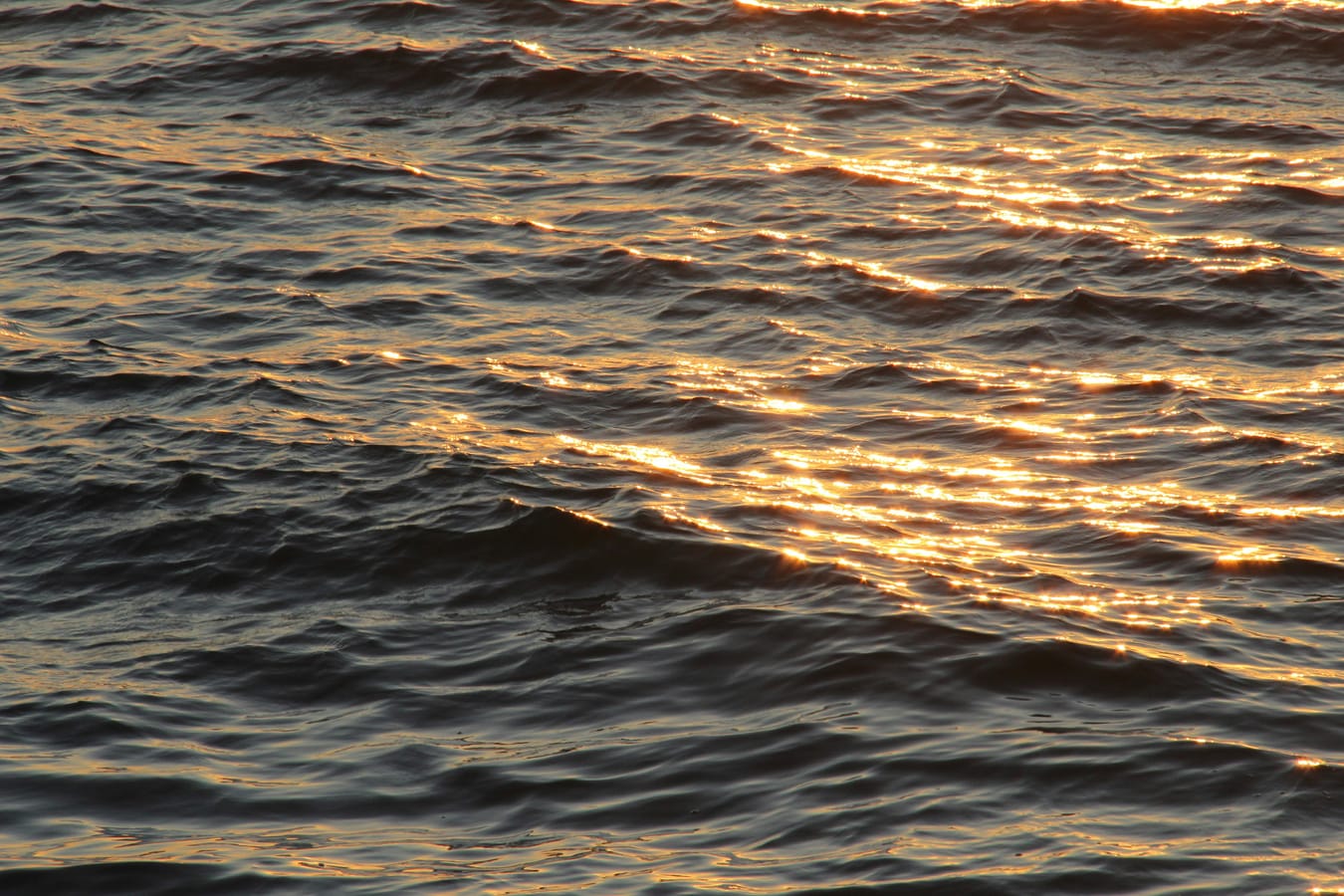 A view of gentle waves rolling onto a quiet beach in soft evening light, suggesting the wave metaphor for urges.