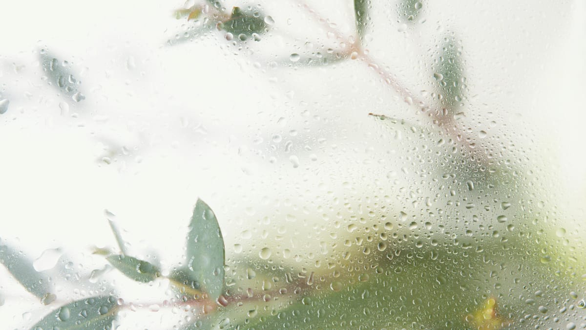 A glass of water on a sunlit windowsill.